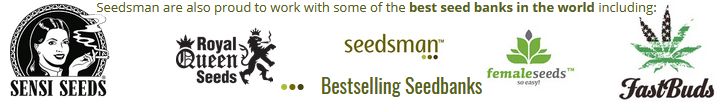 Cannabis seeds, Autoflowering seeds, Greenhouse, Sweet Seeds, Spanish Passion