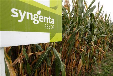 The logo of Swiss agrochemicals maker Syngenta is seen in front of a cornfield near the company's plant in Stein near Basel September 18, 2012. Credit: Reuters/Arnd Wiegmann